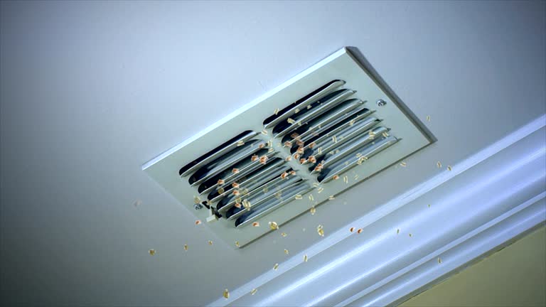 Best Dryer Vent Cleaning Services  in Clear Lake, IA