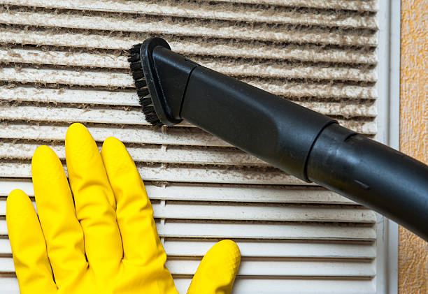 Best Dryer Vent Cleaning Services  in Clear Lake, IA